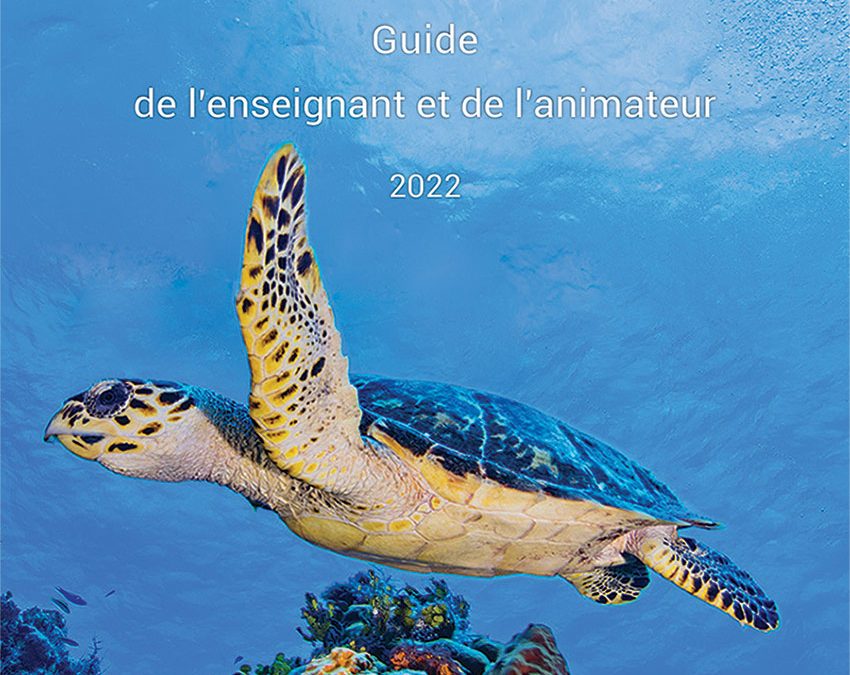 Mallette pédagogique tortue marine à Mayotte